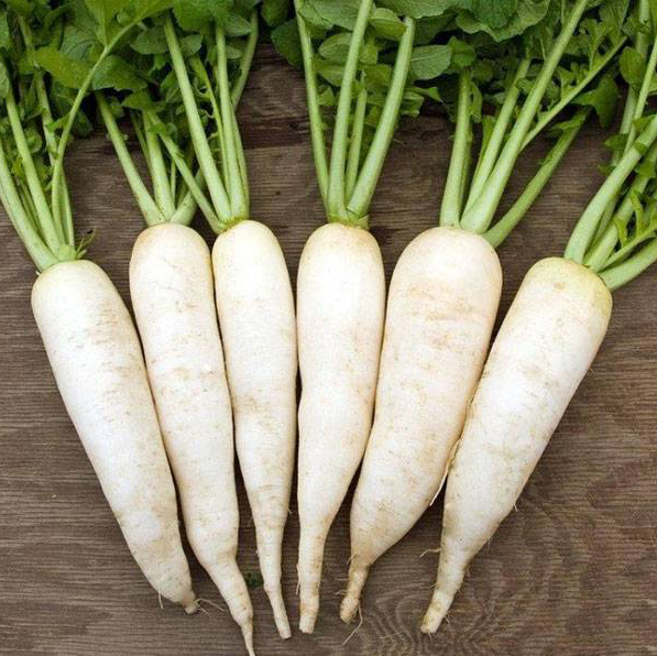 Củ cải trắng organic 350g